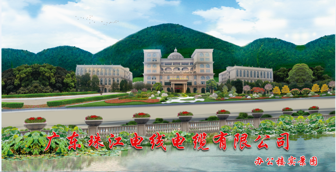 宝武钢铁集团向导专家莅临俄罗斯专享会电缆旅行交流